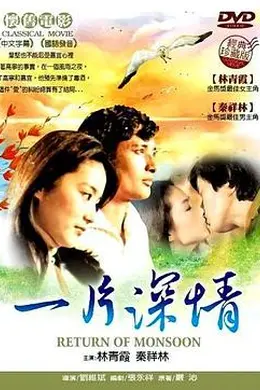 一片深情封面图