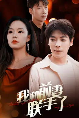 我和前妻联手了海报图片
