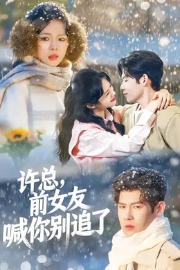 许总，前女友喊你别追了海报图片