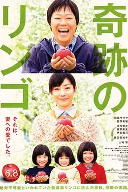 奇迹的苹果封面图