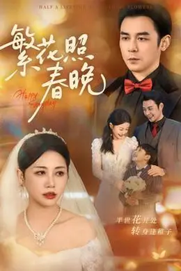 繁花照春晚封面图