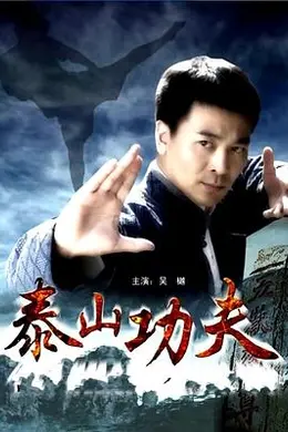 泰山功夫封面图