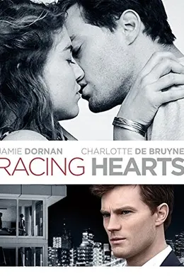 飞归故乡封面图