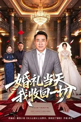 婚礼当天我收回一切封面图