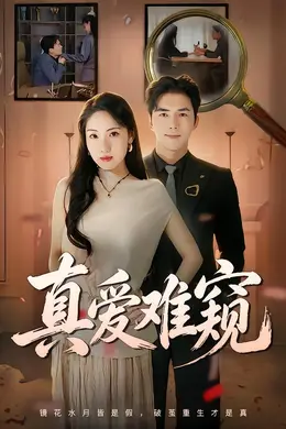 真爱难窥封面图
