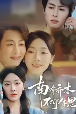 南有乔木，不可休思封面图