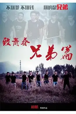 致青春 兄弟篇封面图