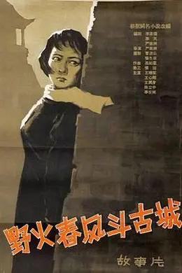 野火春风斗古城封面图