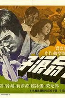 亡命浪子封面图