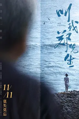 叫我郑先生封面图