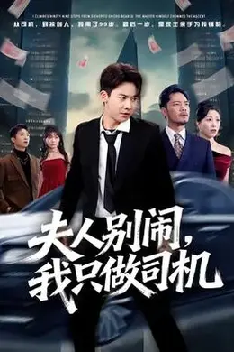 夫人别闹我只做司机海报图片