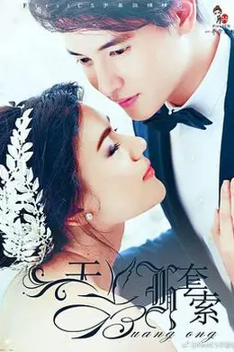 天鹅套索封面图