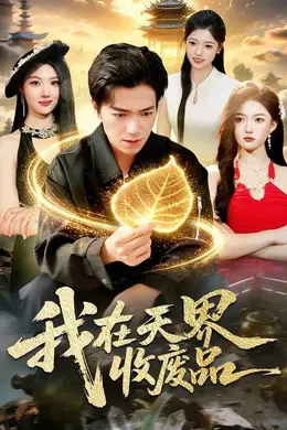 我在天界收废品封面图