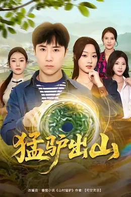 猛驴出山海报图片