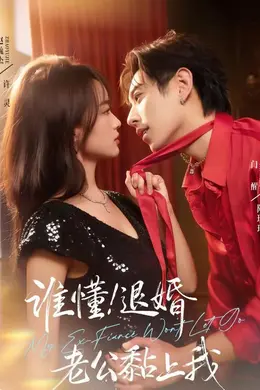 谁懂！退婚老公黏上我海报图片