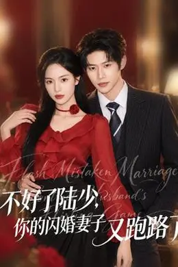 不好了陆少，你的闪婚妻子又跑路了封面图