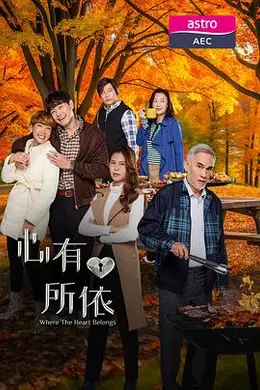 心有所依封面图