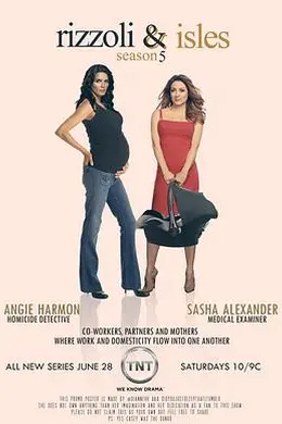 妙女神探第五季封面图