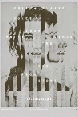 墙里的声音封面图