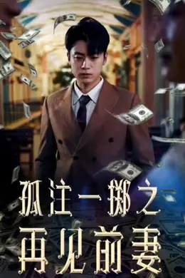 孤注一掷再见前妻海报图片