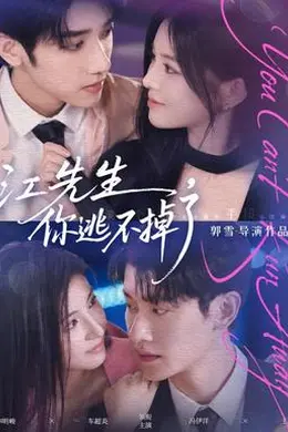 江先生，你逃不掉了海报图片