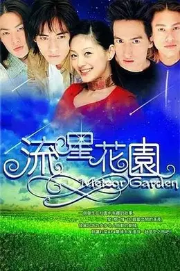 流星花园（2001）封面图