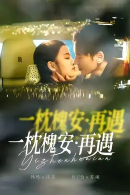 一枕槐安：再遇封面图