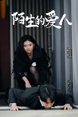 陌生的爱人海报图片