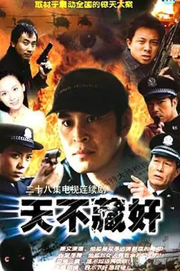 天不藏奸封面图