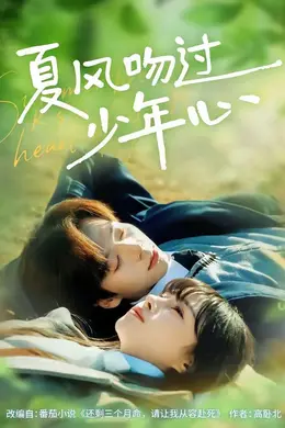 夏风吻过少年心封面图
