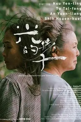 光的孩子封面图