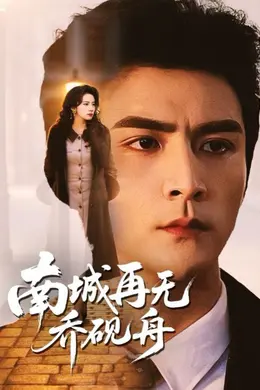 南城再无乔砚舟封面图