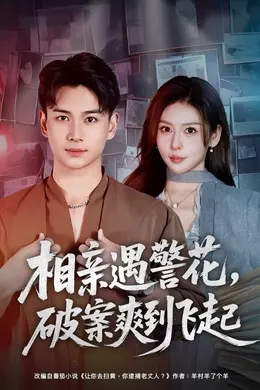 相亲遇警花，破案爽到飞起封面图