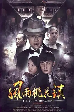 风雨桃花镇封面图