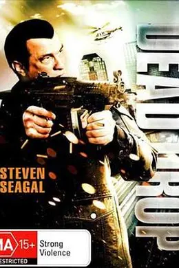 真正正义之死亡降临封面图