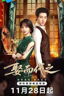 娶而代之封面图