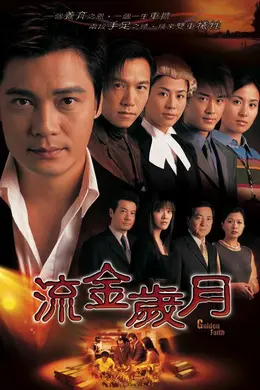 流金岁月2002封面图