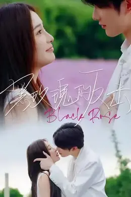 黑玫瑰的反击海报图片