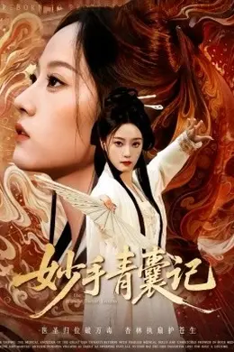 妙手青囊记海报图片