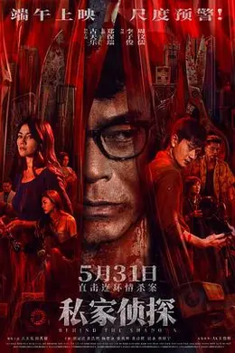 私家侦探国语封面图
