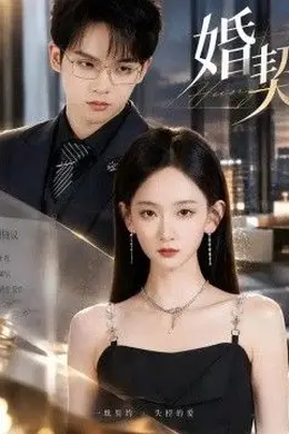 婚契海报图片