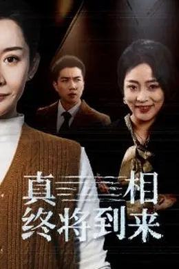 真相终将到来海报图片