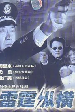 雷霆纵横封面图