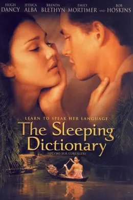 字典情人封面图