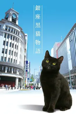 银座黑猫物语封面图