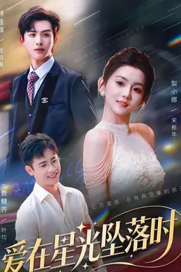 爱在星光坠落时封面图