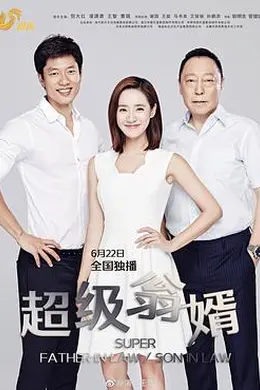 超级翁婿封面图