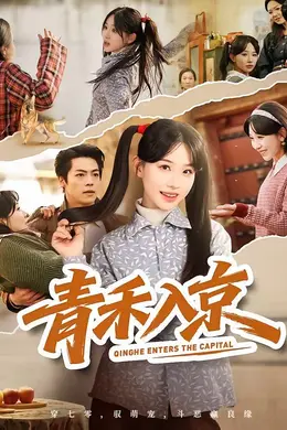 青禾入京海报图片