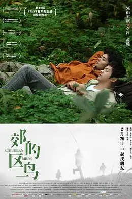 郊区的鸟封面图