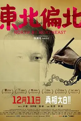 东北偏北封面图